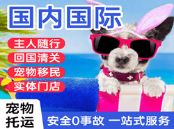 金湾航空邮寄国际宠物托运 【国
